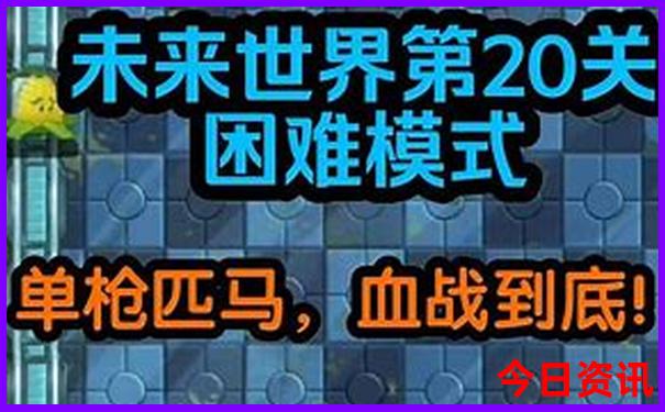 2025新奥历史开奖记录19期